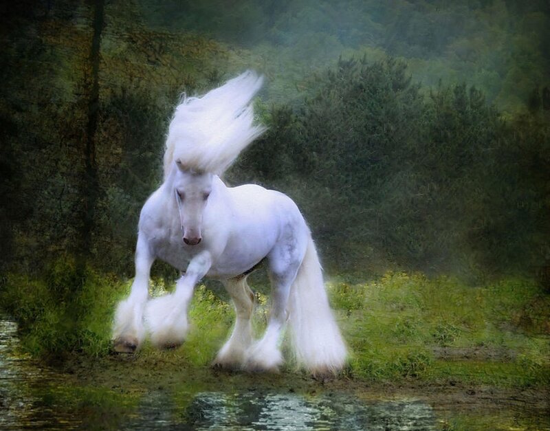 White Horse in Water — Dramatic, Digital Art