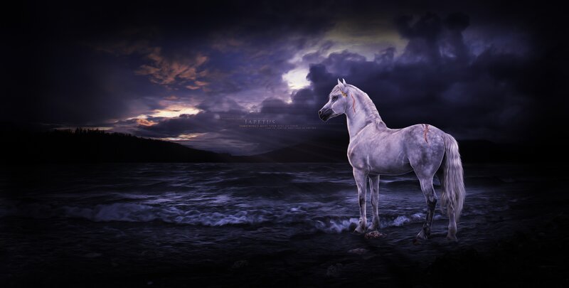 White Horse in Water — Purple, Dramatic