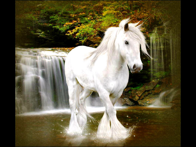 White Horse in Water — Serene, Autumn