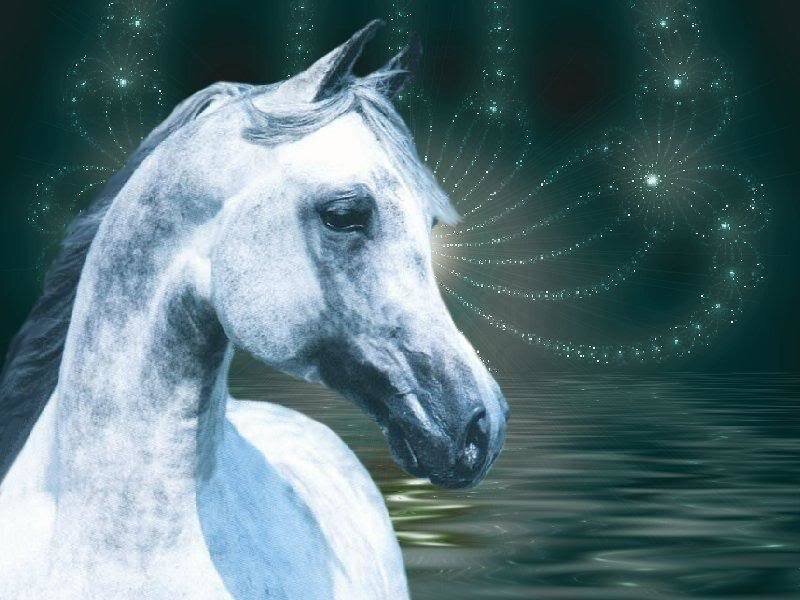 White Horse in Water — Serene, Night