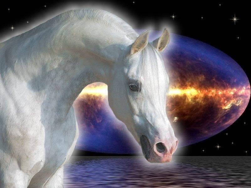 White Horse in Water — Serene