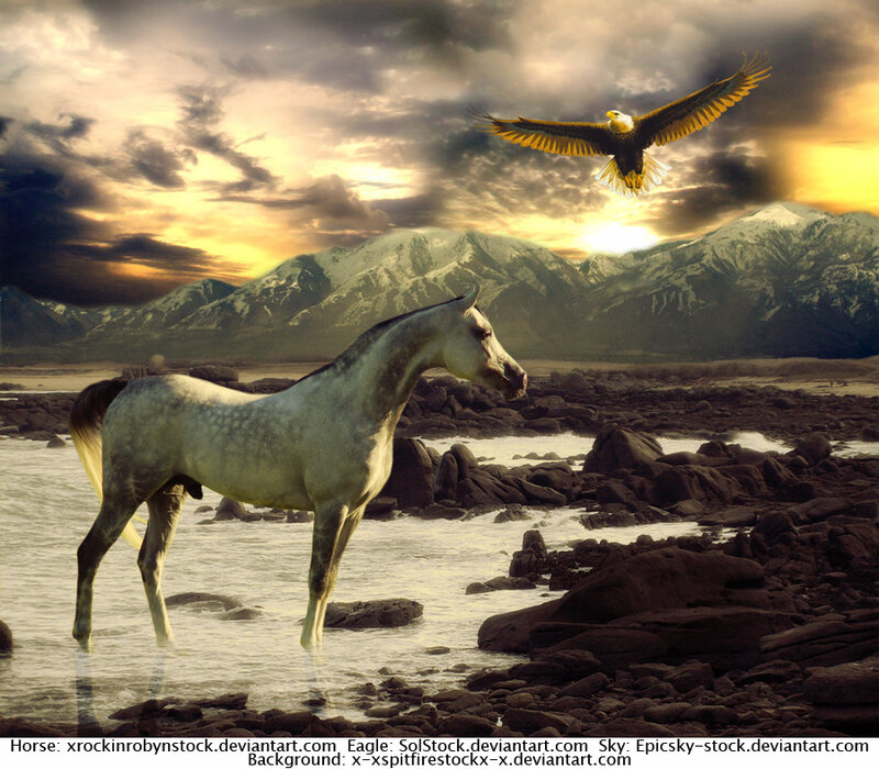White Horse in Water