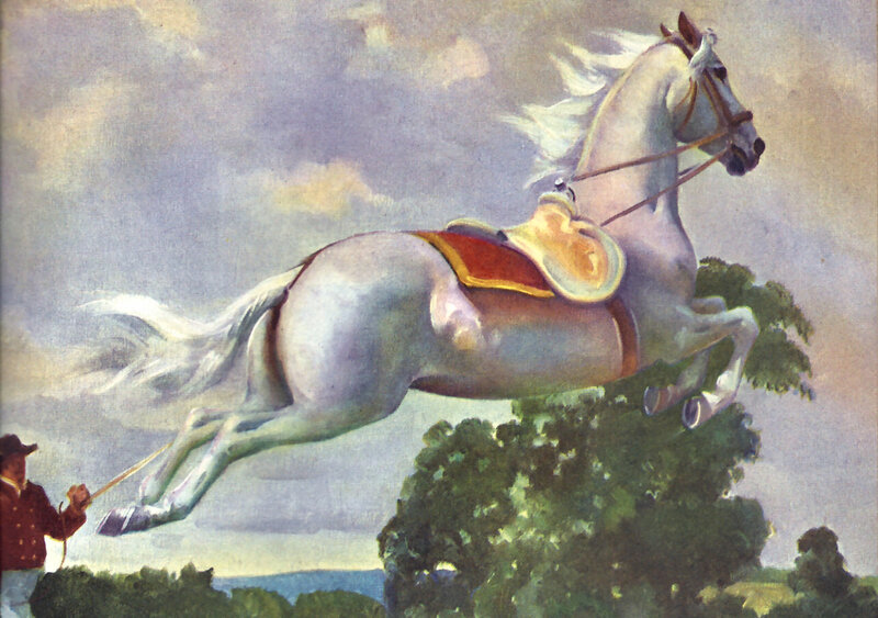 White Horse Jumping — Dramatic