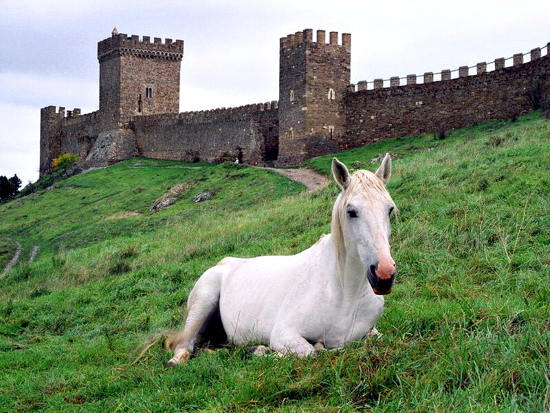 White Horse Lying Down — Green