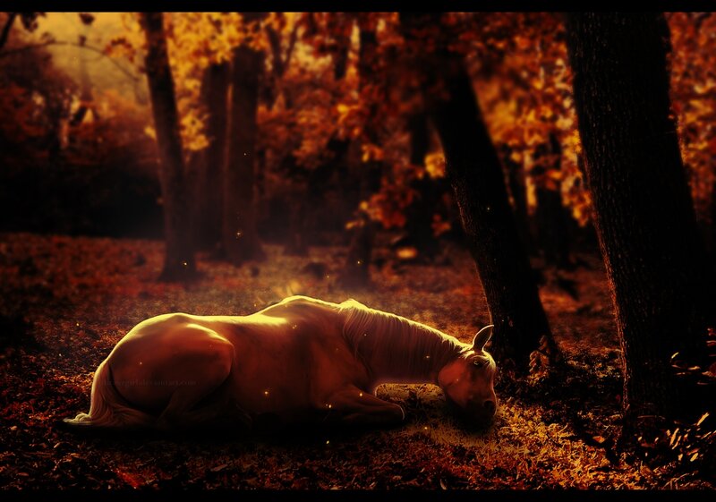 White Horse Lying Down — Orange