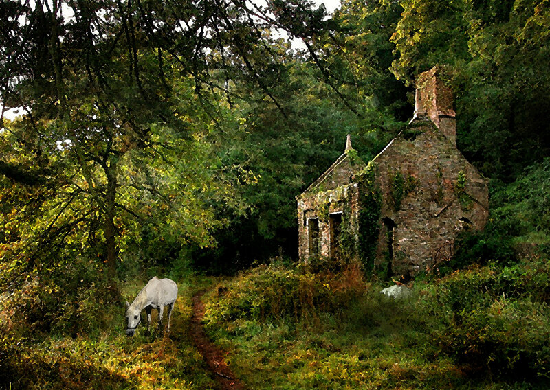 White horse near old stone cottage