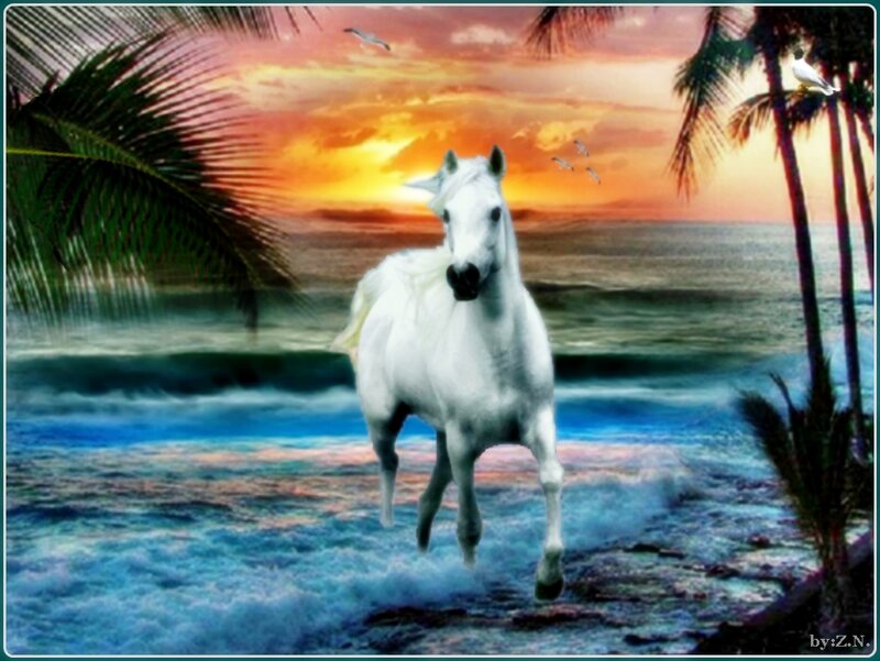 White Horse on Beach — Blue, Dramatic