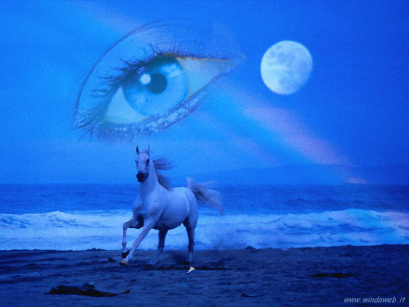 White Horse on Beach — Blue
