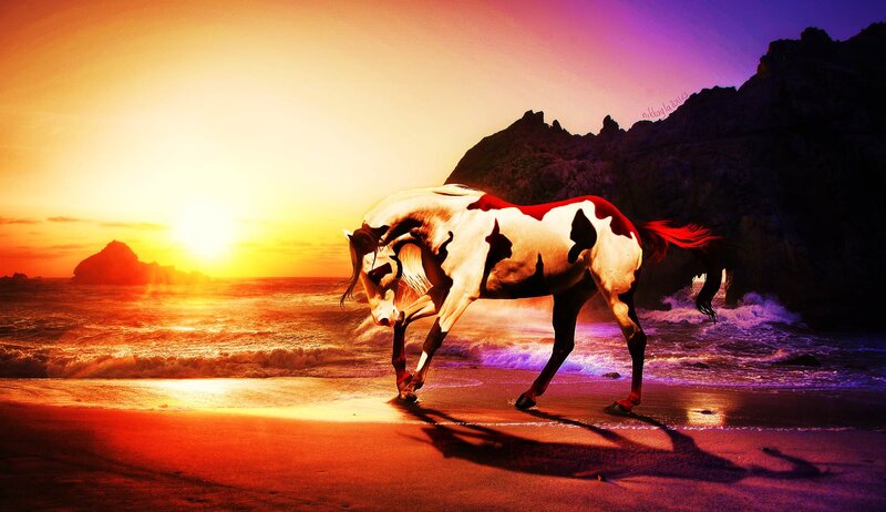 White Horse on Beach — Orange, Dramatic