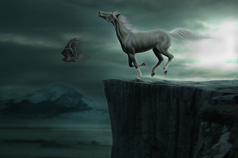 White Horse on Cliff — Gray, Dramatic