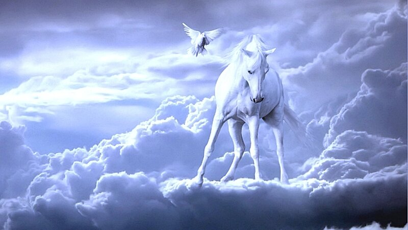White Horse on Clouds — Blue