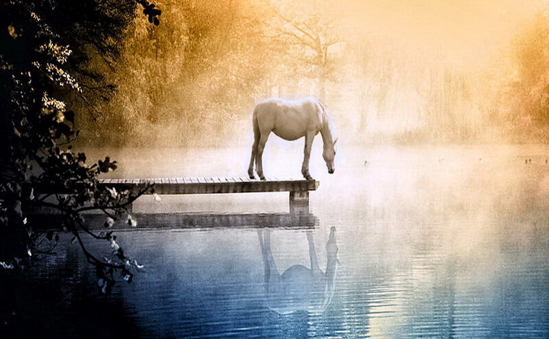 White Horse on Dock