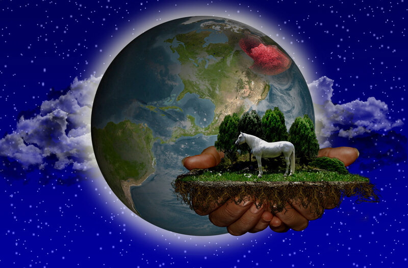 White Horse on Earth Slice
