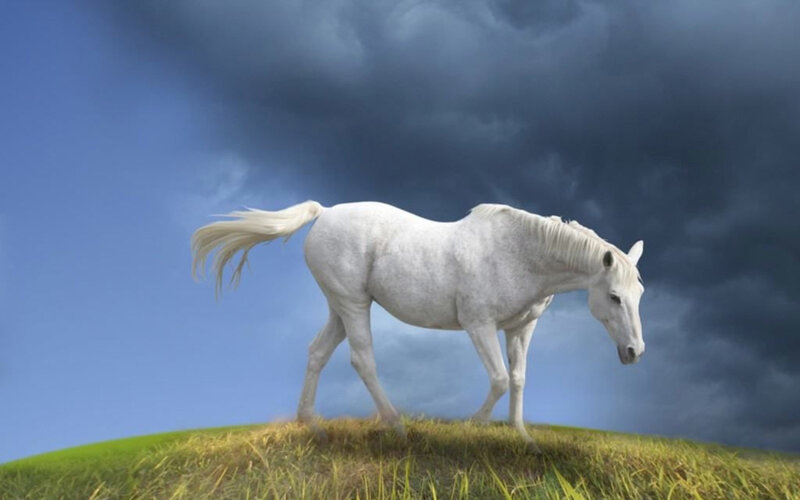 White Horse on Hill — Dramatic, Digital Art