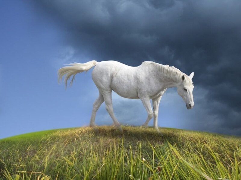 White Horse on Hill — Green