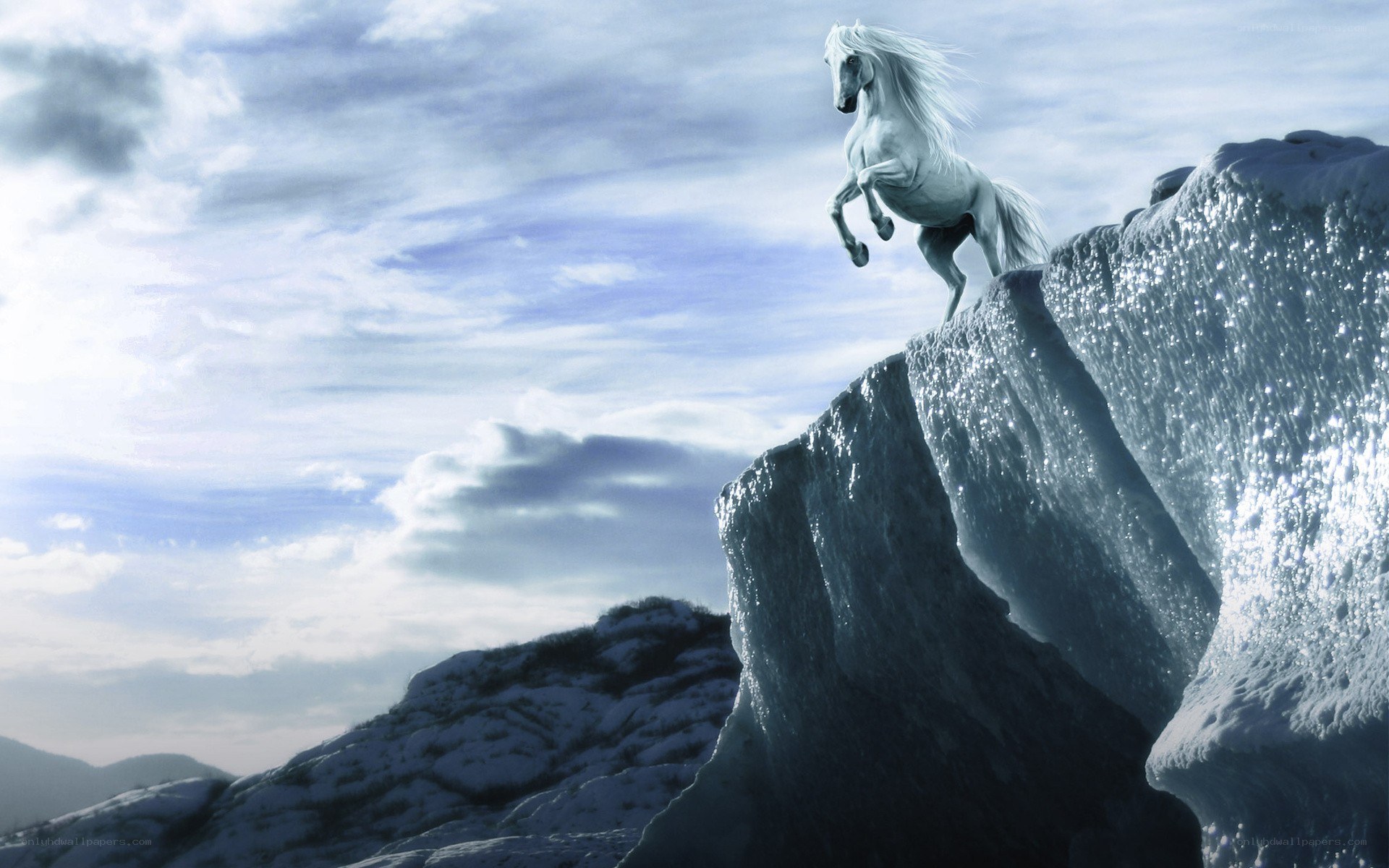 White horse on icy cliff