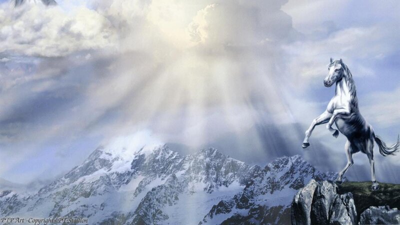 White Horse on Mountain — Dramatic