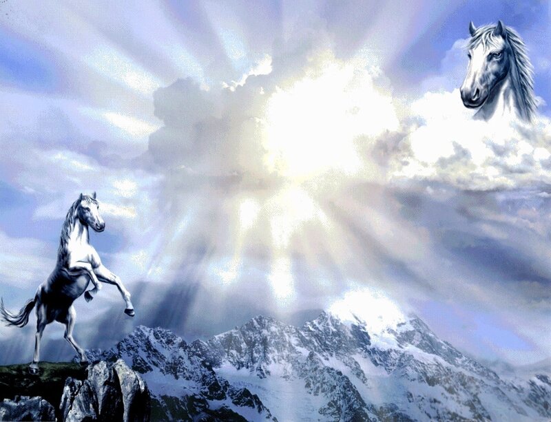 White Horse on Mountain