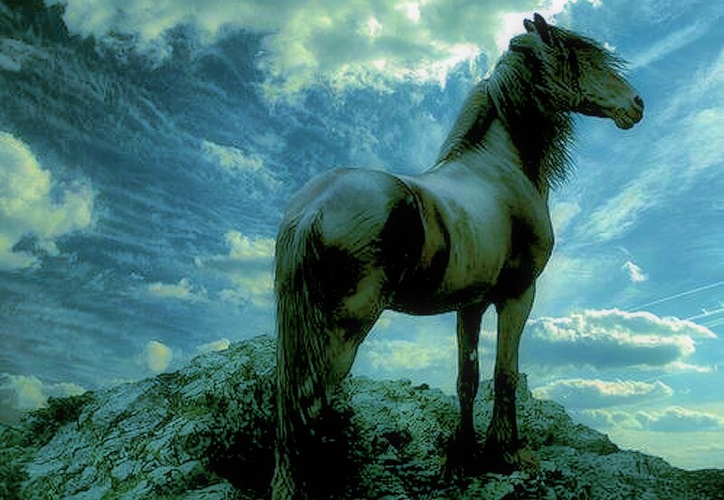 White Horse on Rock — Blue