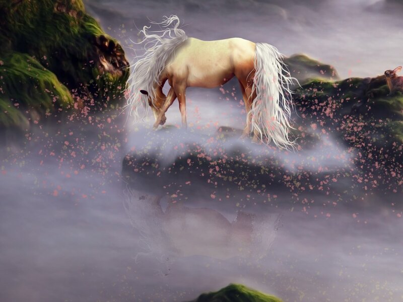 White Horse on Rock