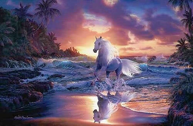 White horse on tropical beach