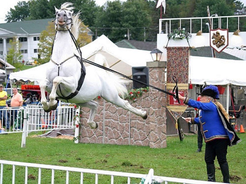 White horse performing at a show