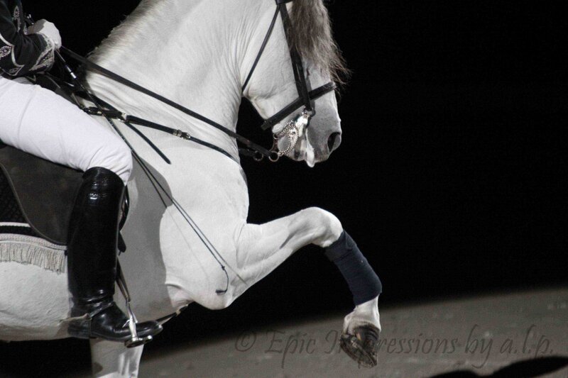 White Horse Performing — Dramatic, Night