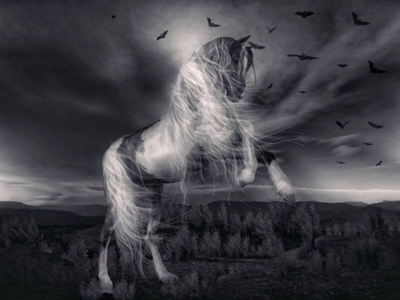 White Horse Rearing — Black, Dramatic, Night