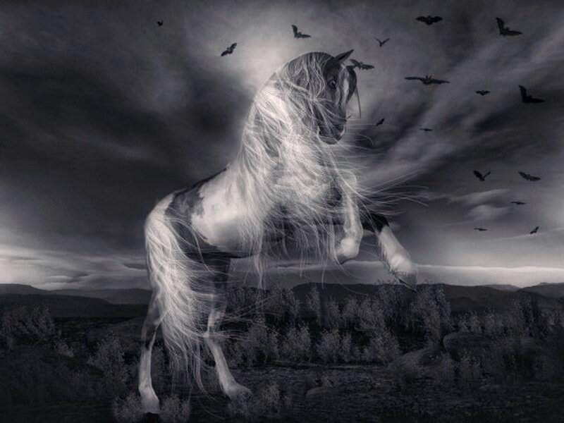 White Horse Rearing — Black, Dramatic