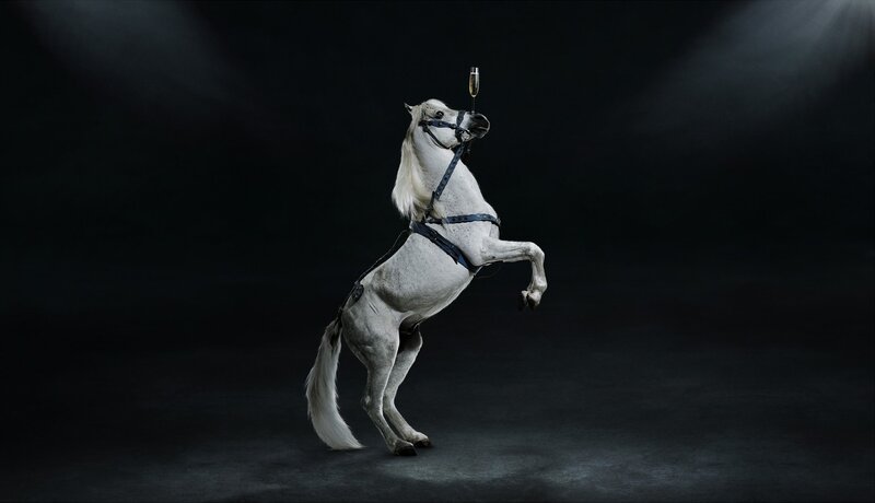 White Horse Rearing — Black