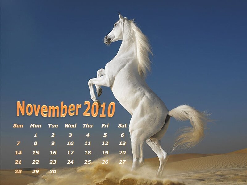 White Horse Rearing — Blue, Dramatic, Afternoon, Photograph