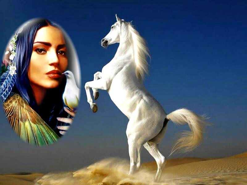 White Horse Rearing — Blue, Dramatic, Digital Art