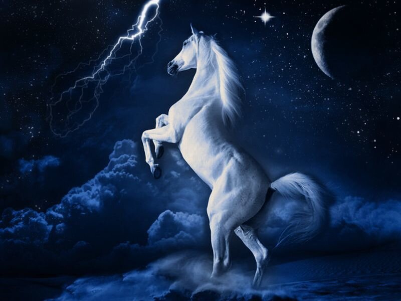 White Horse Rearing — Blue, Dramatic