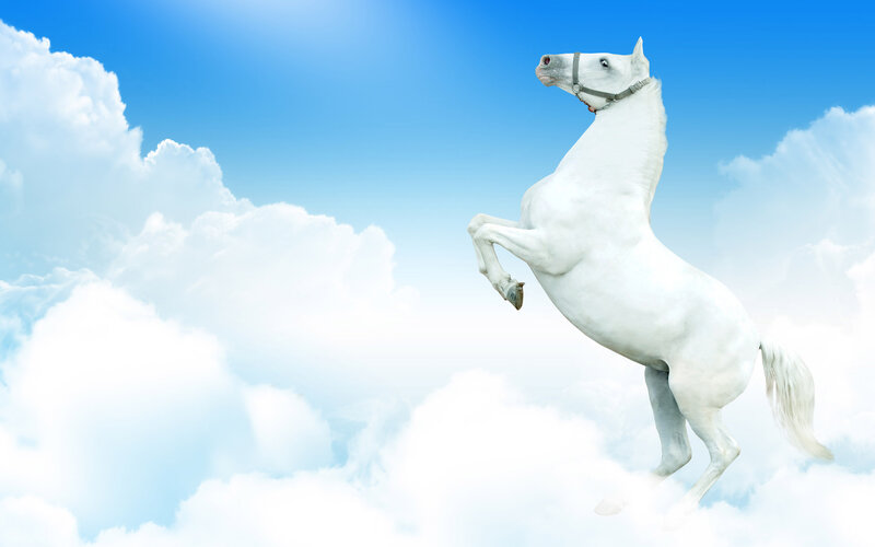 White Horse Rearing — Blue, Serene, Digital Art