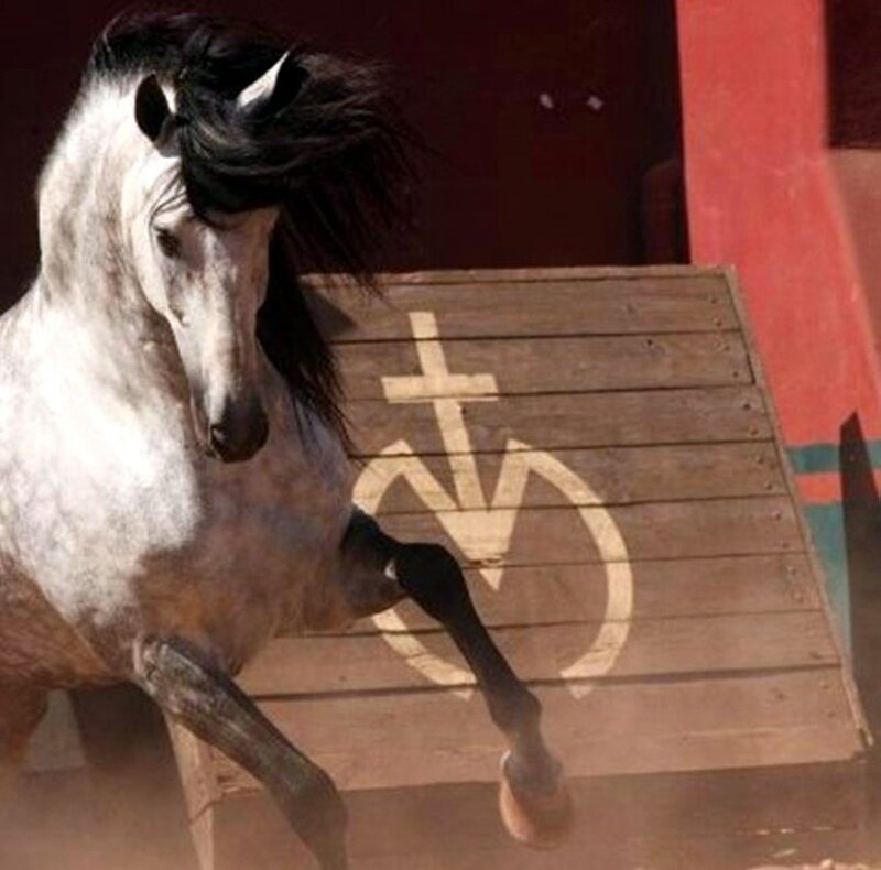 White Horse Rearing — Brown