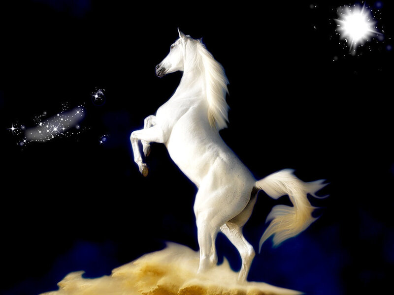 White Horse Rearing — Dramatic, Night