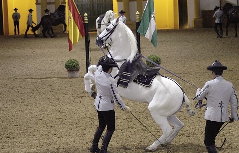 White Horse Rearing — Formal