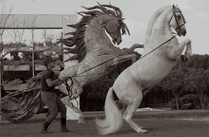 White Horse Rearing — Gray, Dramatic