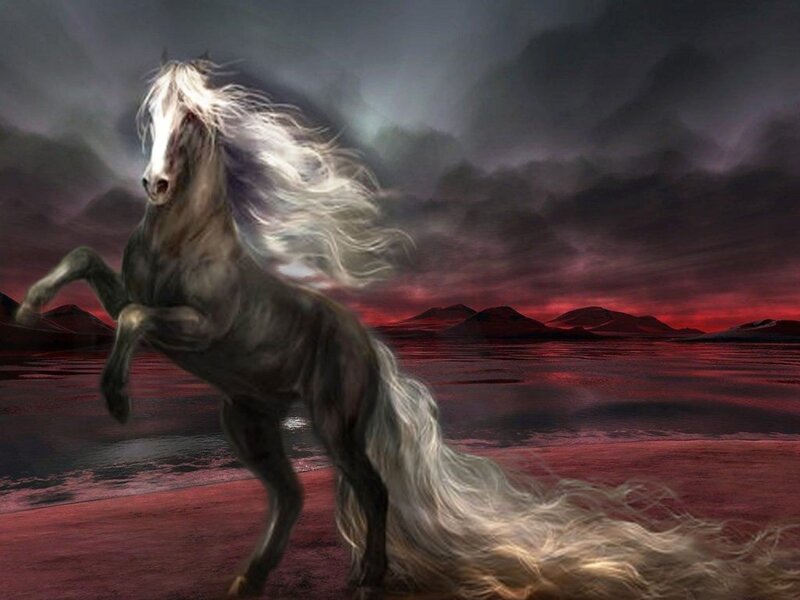 White Horse Rearing — Gray