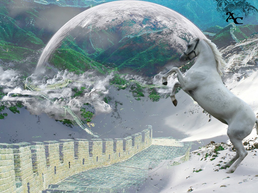 White horse rearing on mountain
