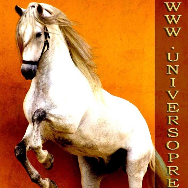White Horse Rearing — Orange
