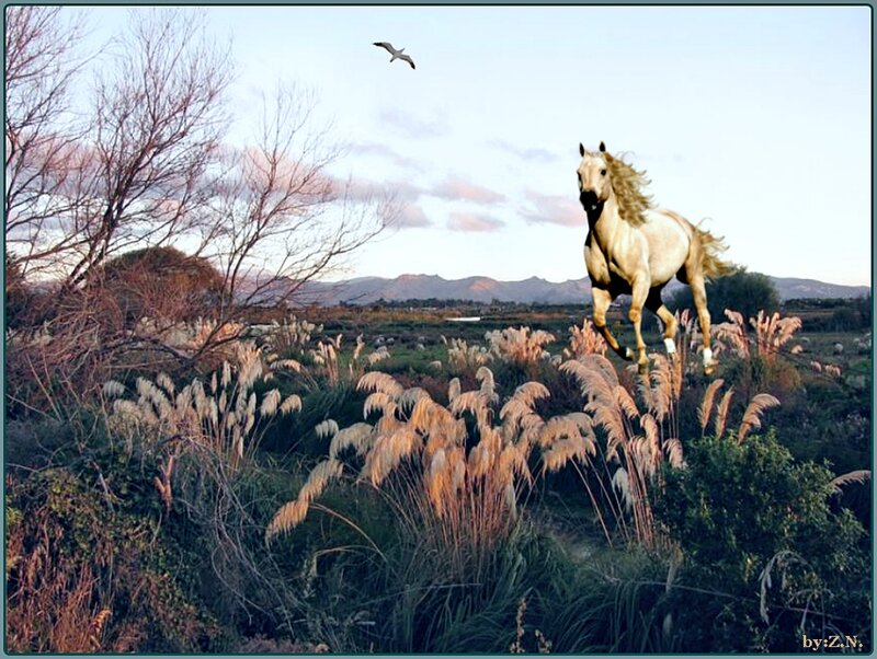 White Horse Running — Beige, Serene