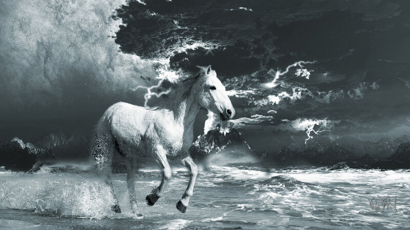 White Horse Running — Black, Dramatic