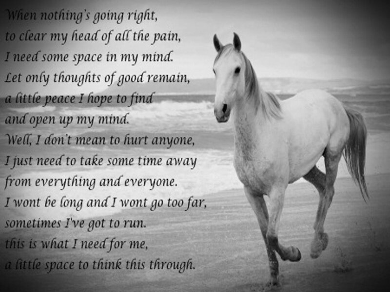 White Horse Running — Black, Reflective