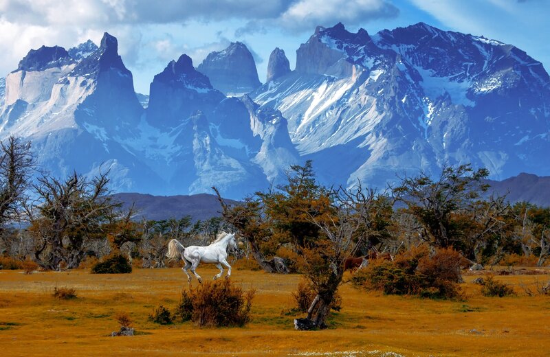 White Horse Running — Blue, Dramatic, Afternoon, Photograph, Mountains