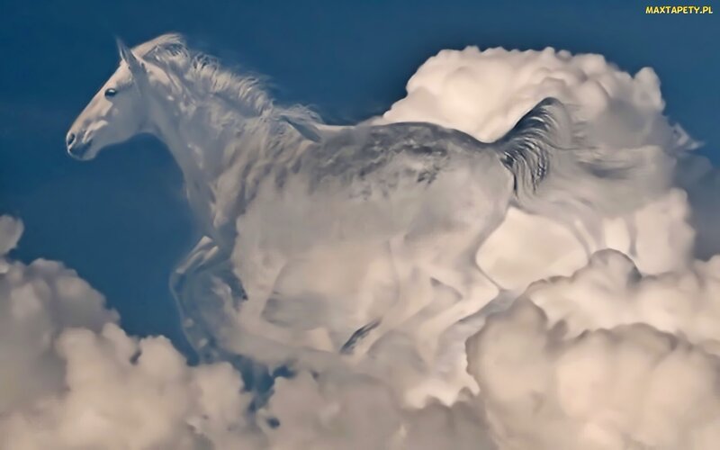 White Horse Running — Blue, Dramatic, Digital Art, Clouds, Sky