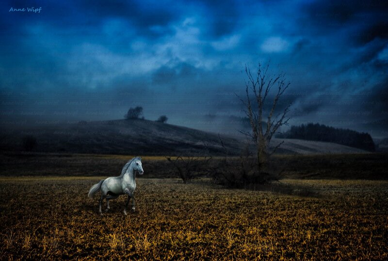 White Horse Running — Blue, Dramatic, Night, Digital Art, Field