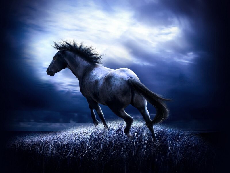White Horse Running — Blue, Dramatic, Night, Digital Art, Grass, Sky, Clouds