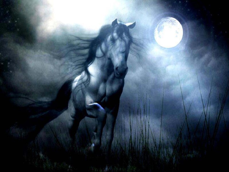 White Horse Running — Blue, Dramatic, Night, Digital Art, Moon, Grass