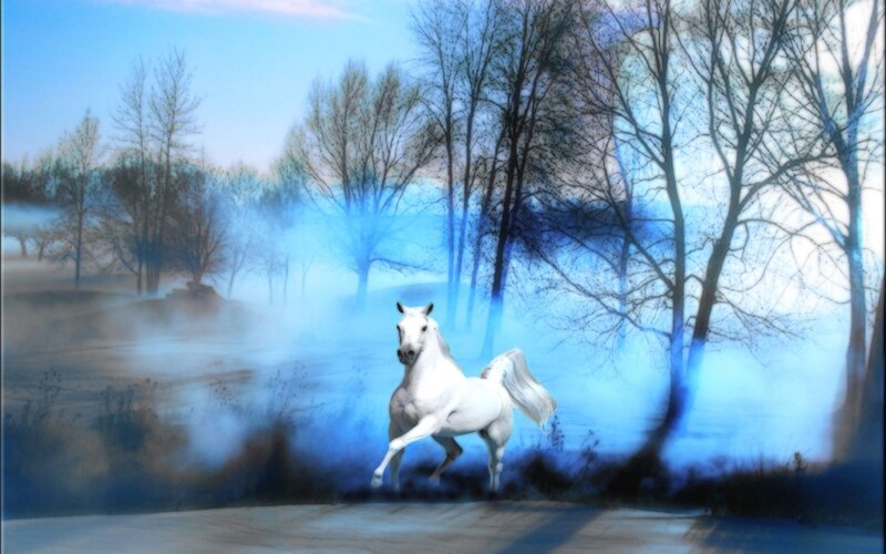 White Horse Running — Blue, Dreamy, Winter